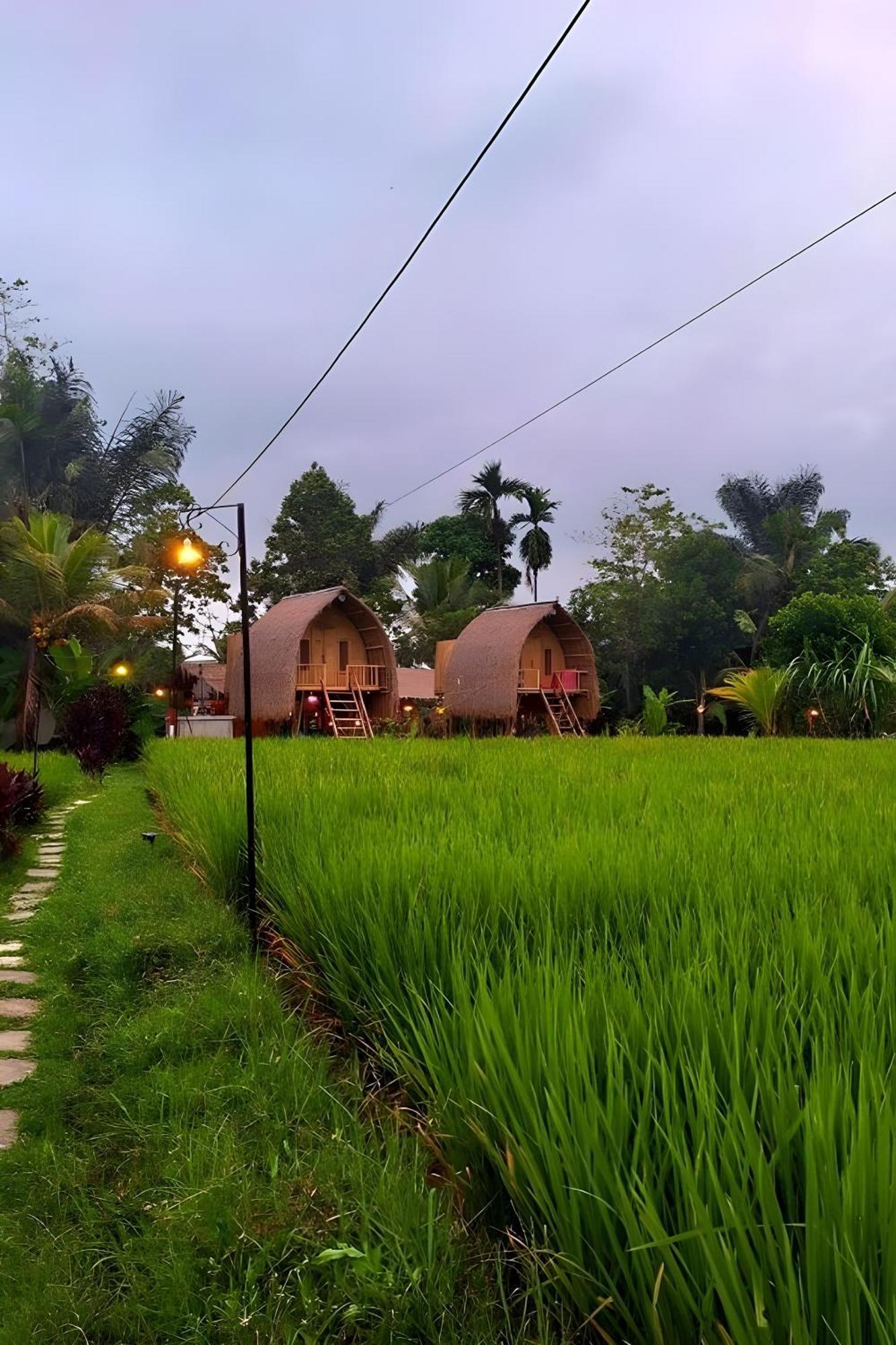 Tampaksiring Lumbung Langit Bali House & Hostel מראה חיצוני תמונה