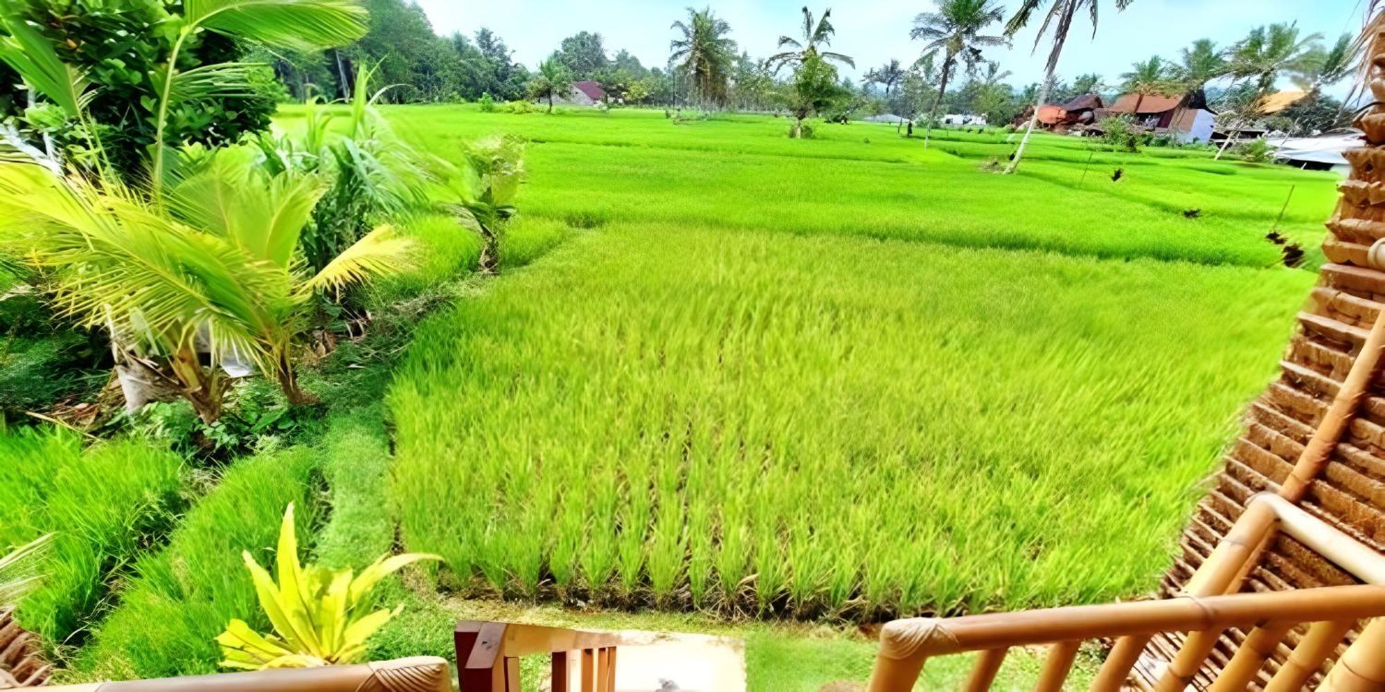 Tampaksiring Lumbung Langit Bali House & Hostel מראה חיצוני תמונה
