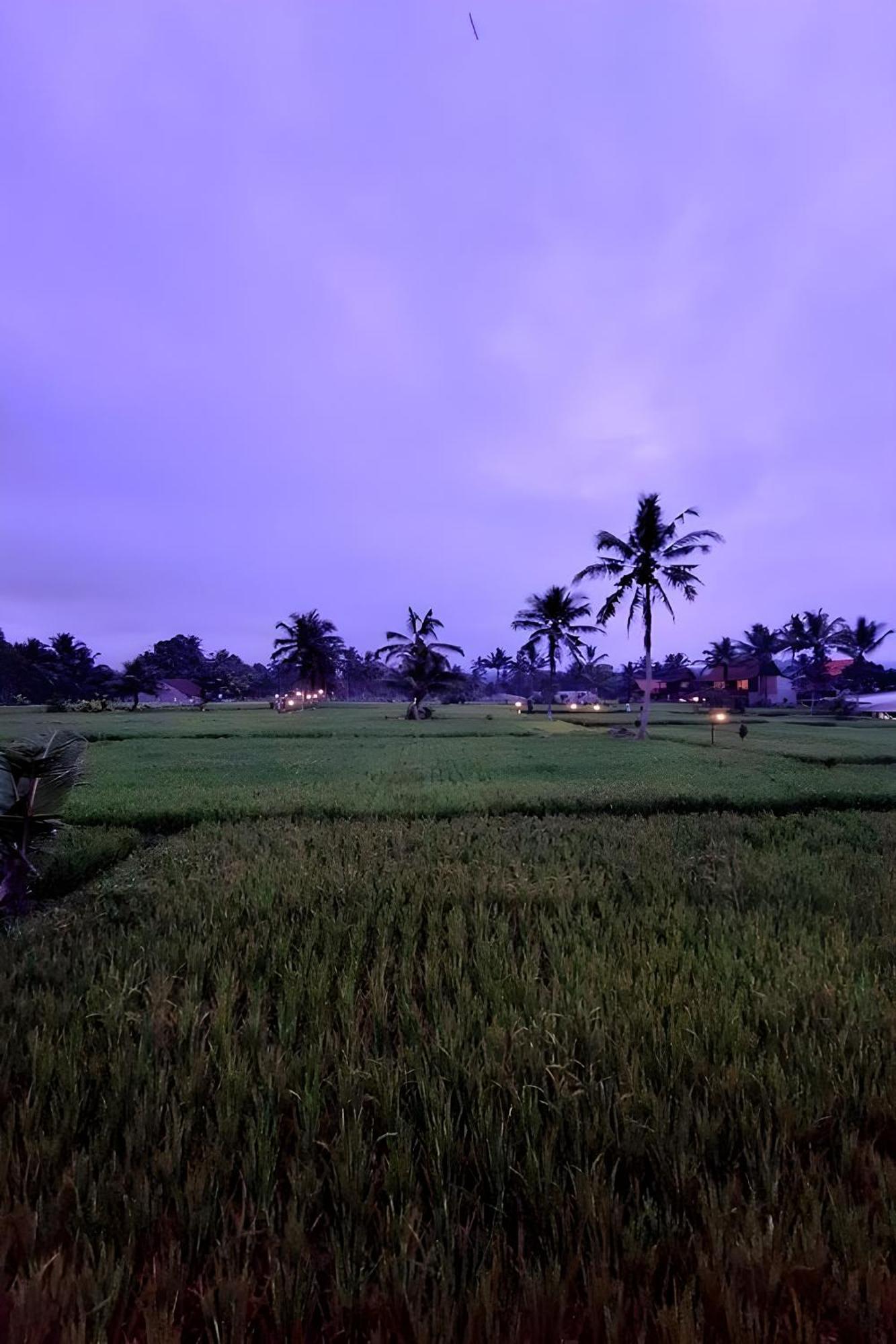 Tampaksiring Lumbung Langit Bali House & Hostel מראה חיצוני תמונה