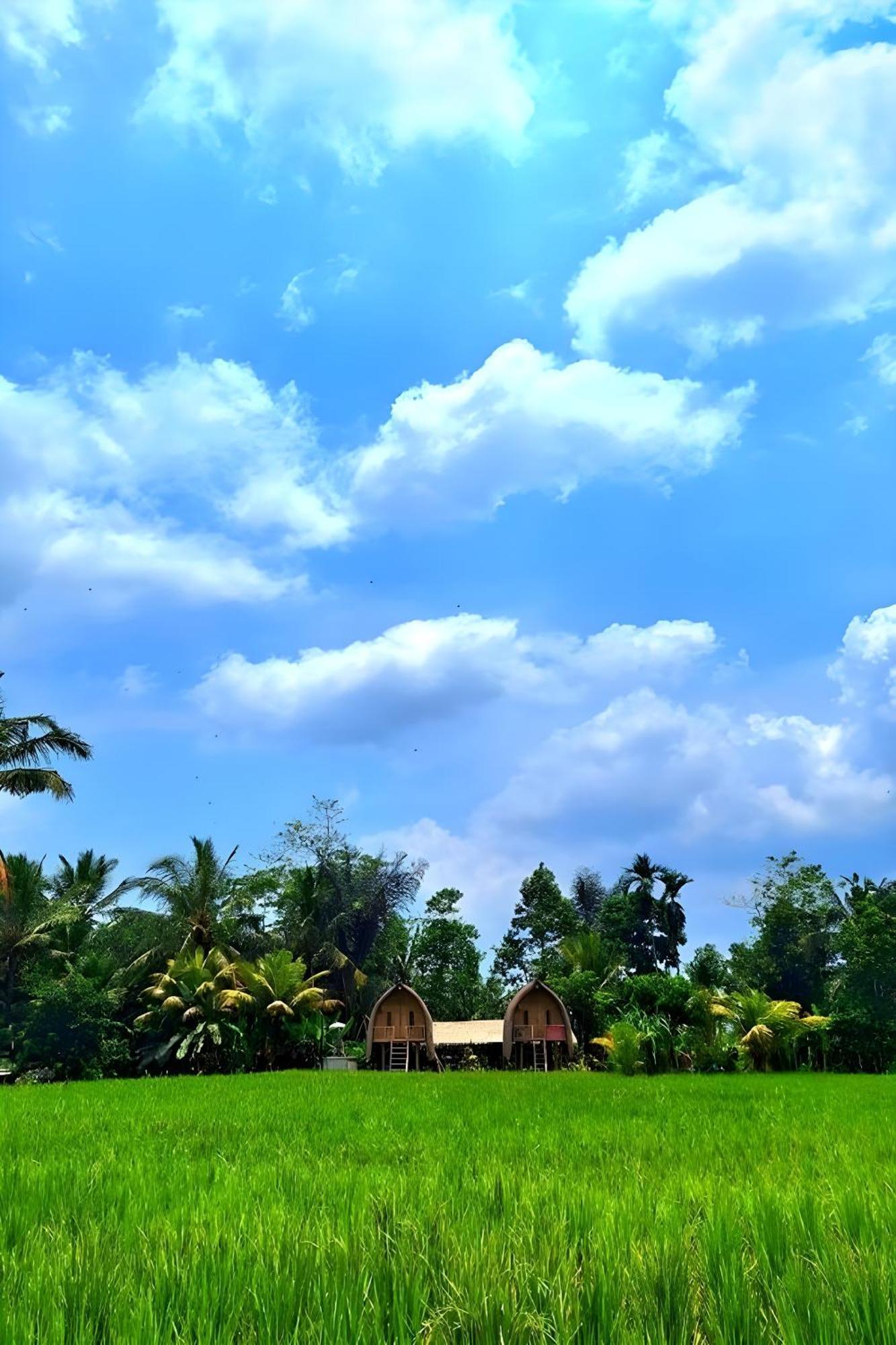 Tampaksiring Lumbung Langit Bali House & Hostel מראה חיצוני תמונה