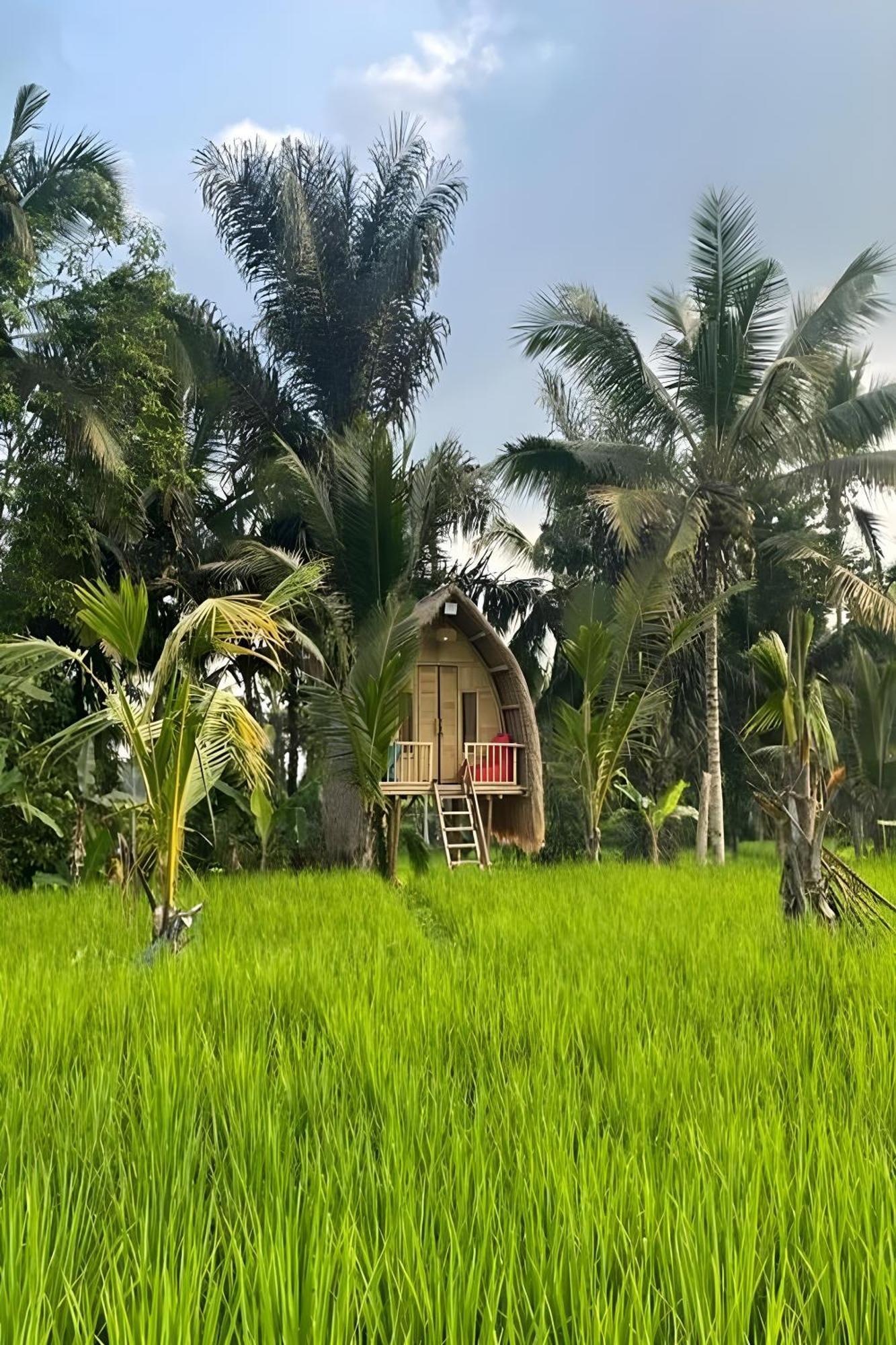 Tampaksiring Lumbung Langit Bali House & Hostel מראה חיצוני תמונה