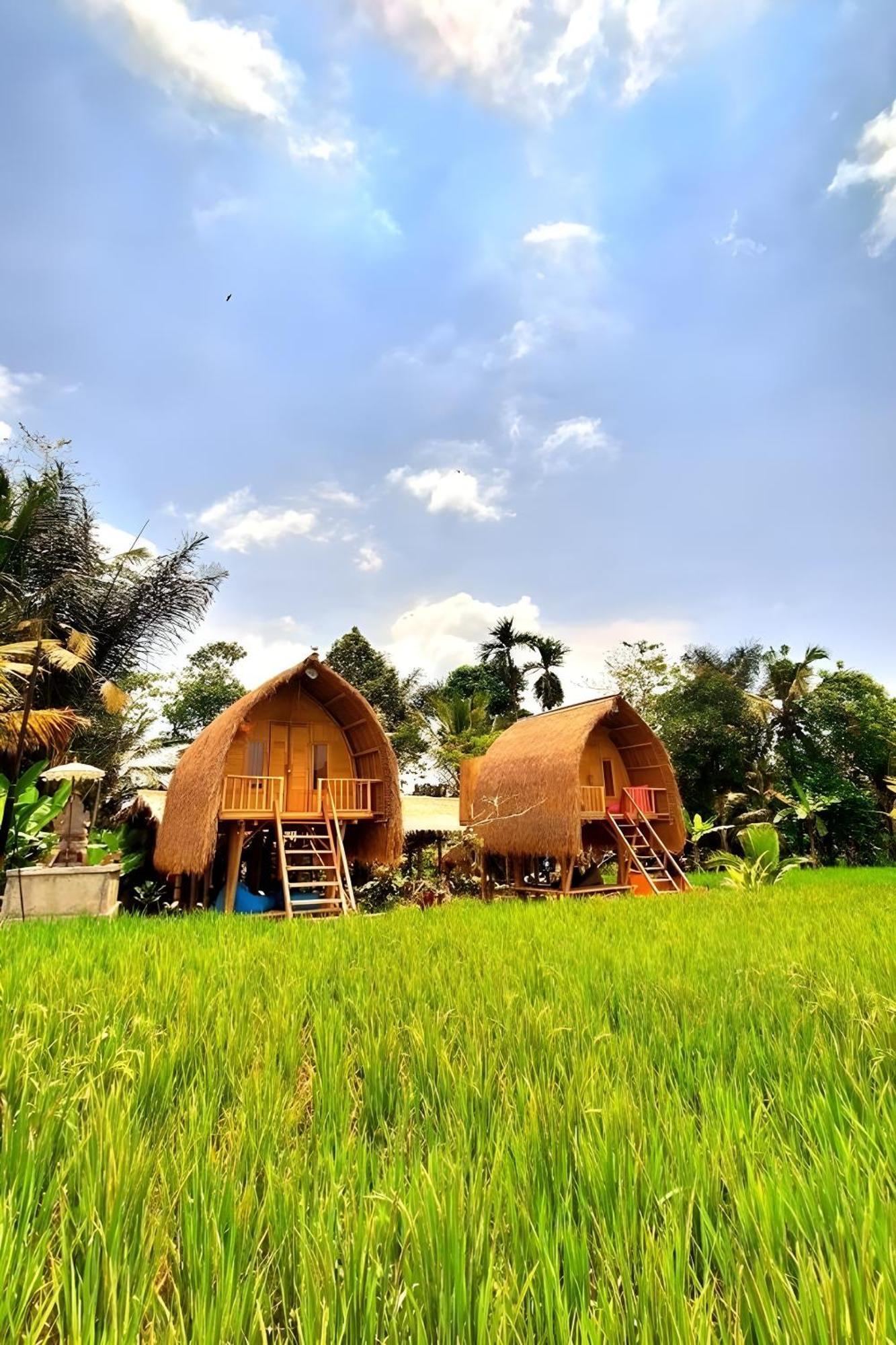 Tampaksiring Lumbung Langit Bali House & Hostel מראה חיצוני תמונה